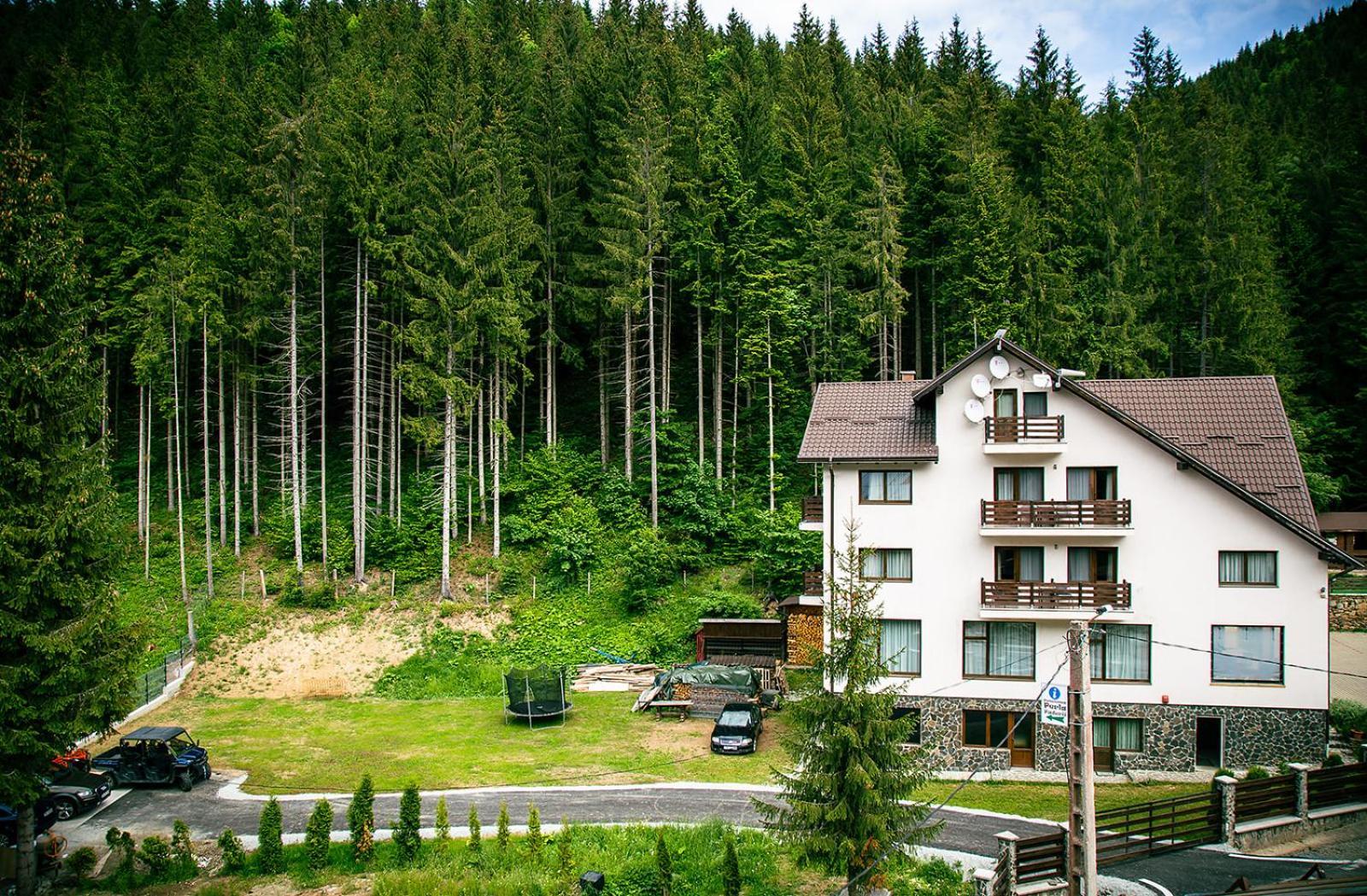 Hotel Perla Padurii à Valea Mare  Extérieur photo