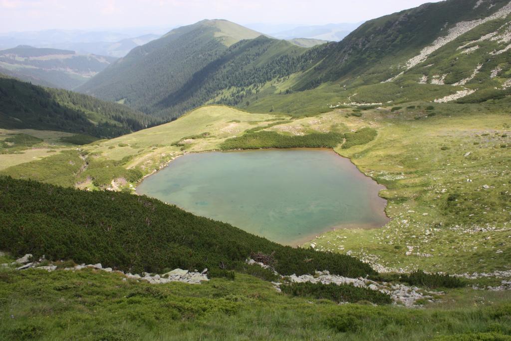 Hotel Perla Padurii à Valea Mare  Extérieur photo
