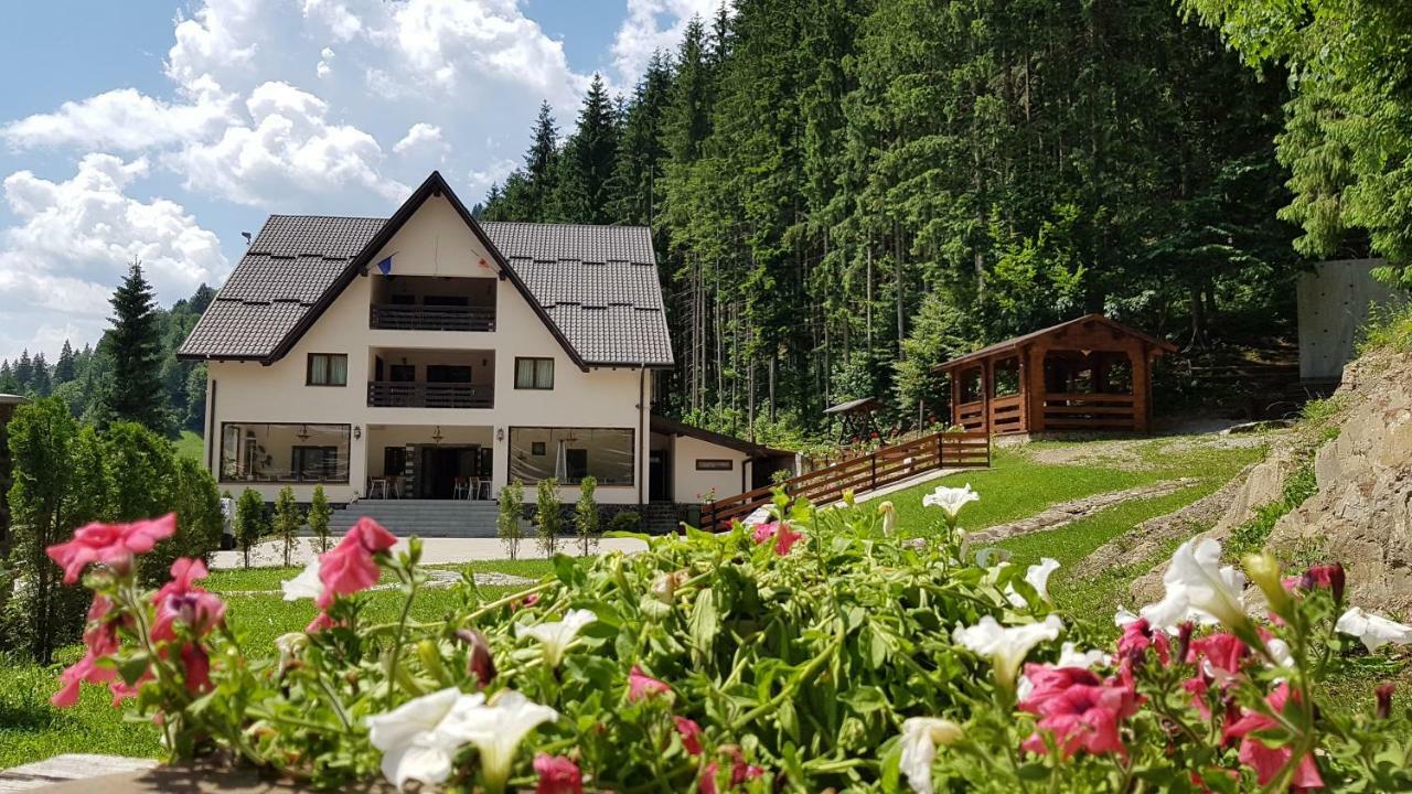 Hotel Perla Padurii à Valea Mare  Extérieur photo
