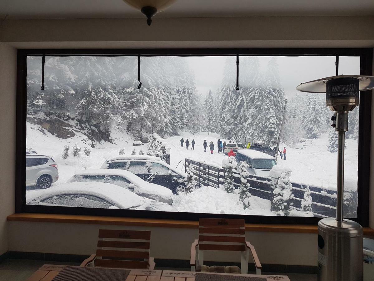Hotel Perla Padurii à Valea Mare  Extérieur photo